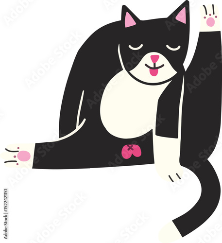 Tuxedo Cat Stretching and Grooming
