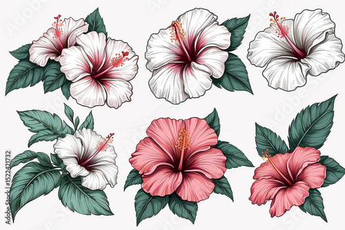 Hibiscus flower Set of hand drawn illustration Vector outline Isolated Hawaiian hibiscus Hibiscus beautiful blooming flower hibiscus flower vector clip art set