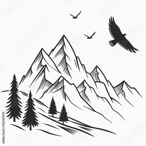 Hand-Drawn Mountain Scene with Birds Vector