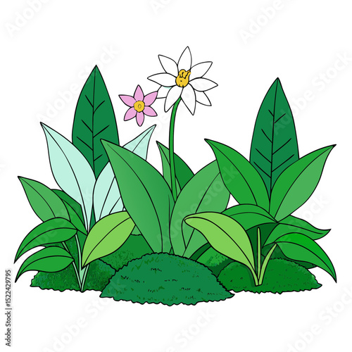 Lush Green Plants and Tropical Flowers Vector