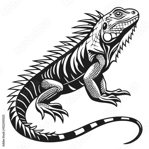 Detailed Black and White Iguana Reptile on Isolated White Background