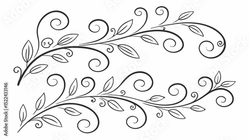 Elegant black and white floral design elements with twirls and leaves suitable for decorative use on various design projects