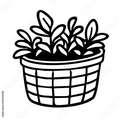 植物　線画　手書き