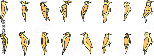 Woodpeckers clinging to tree, simple icon set representing different species or positions of picidae family birds