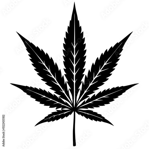  cannabis leaf  vector illustration