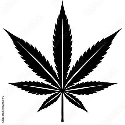  cannabis leaf  vector illustration