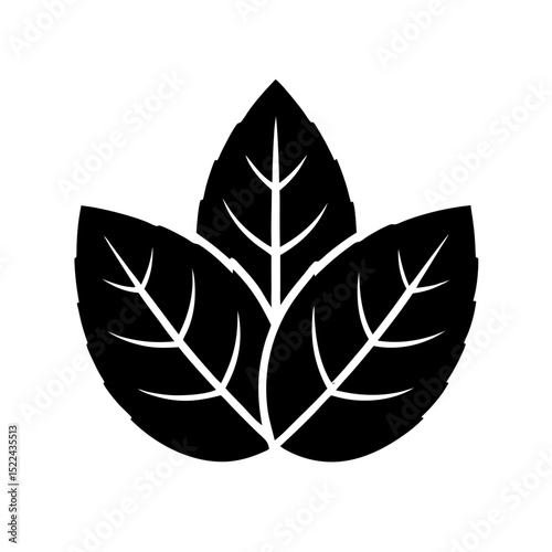 leaf icon vector illustration