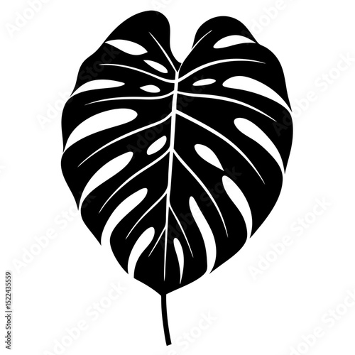 vector illustration of a butterfly