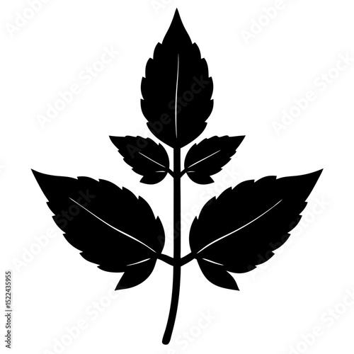 flat vector illustration holy basil icon isolated .svg