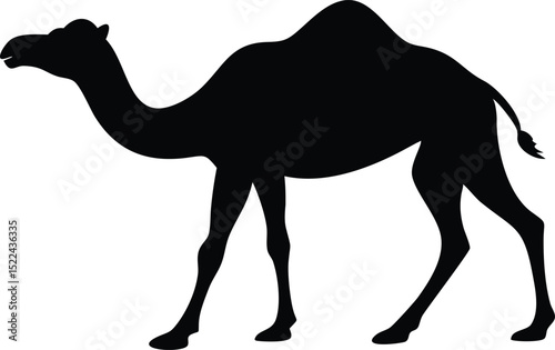 Single Hump Camel Silhouette, Black Arabian Dromedary Isolated on White Background Illustration