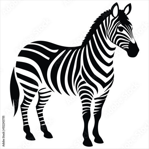 zebra animal silhouette vector isolated on a white background 