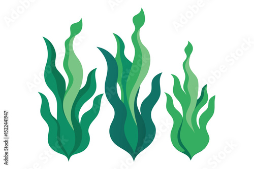 Three Green Seaweed Plants on a White Background, Abstract Aquatic Vegetation