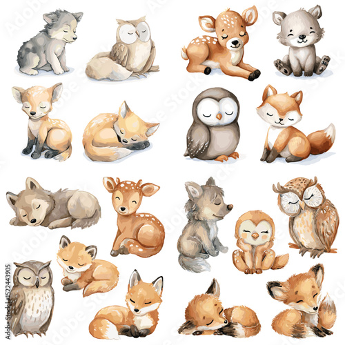 Adorable watercolor baby woodland animals including foxes, owls, deer, and wolves. Great for nursery decor, kids' books, or animal-themed designs.

