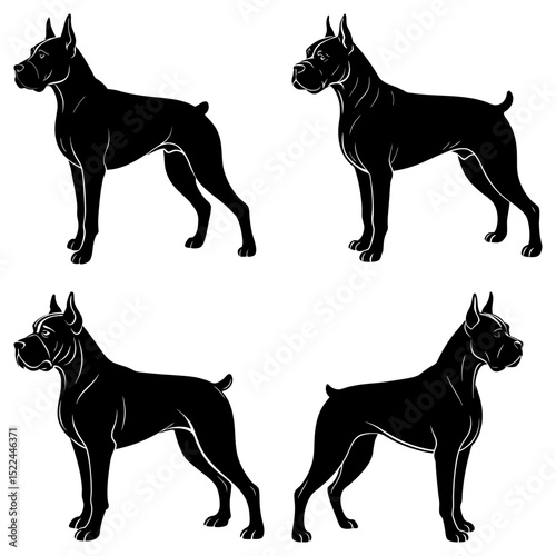 Four black silhouette images of a boxer dog breed standing in different poses against a white background