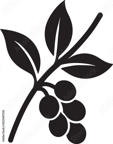 Silhouette vector of a coffee plant branch with leaves and beans. Ideal for organic, farm, or café designs.
