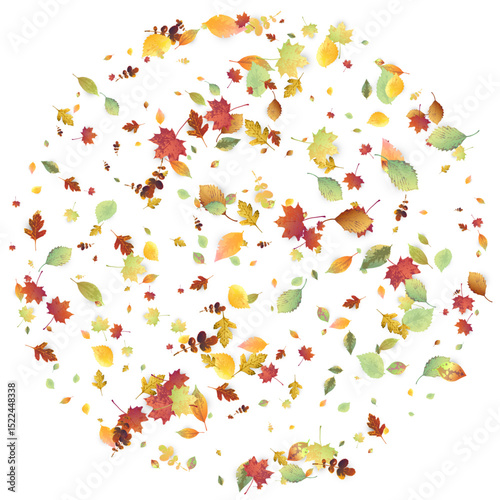 Leaves Falling Autumn Foliage Chaotic Leaf Flying