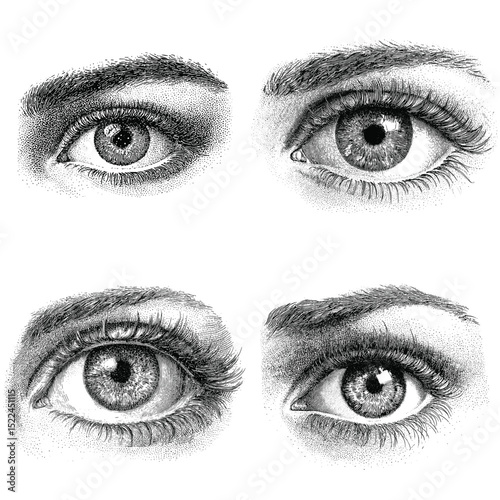 Highly detailed hand-drawn illustrations of female eyes in close-up view. Great for beauty, fashion, or anatomical art studies and tutorials.

