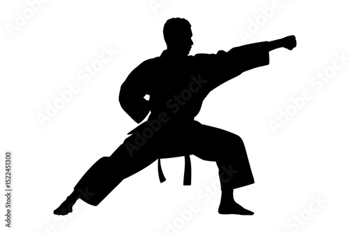 Karate martial arts stance silhouette training pose