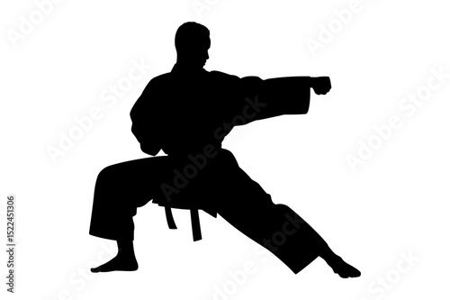 Karate silhouette martial arts stance and punch pose