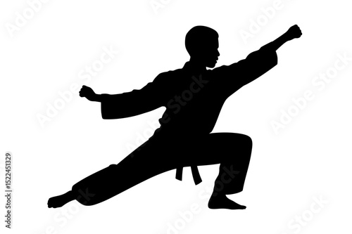 Karate silhouette martial arts stance and posture