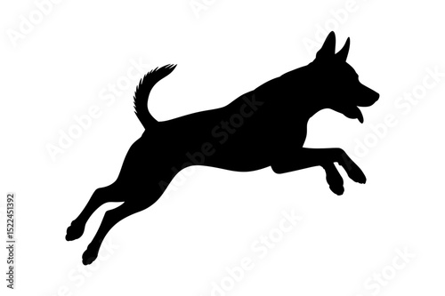 Dog silhouette jumping agility pet animal canine