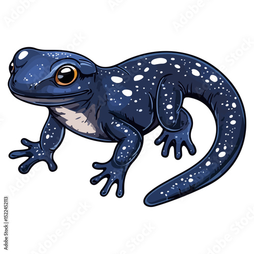 salamander, reptile, vector, transparent background, creature, animal, nature, amphibian, newt, small, isolated, cute, Salamandridae