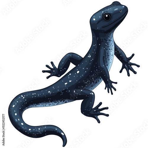 salamander, reptile, vector, transparent background, creature, animal, nature, amphibian, newt, small, isolated, cute, Salamandridae