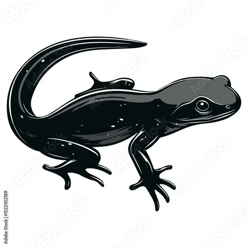salamander, reptile, vector, transparent background, creature, animal, nature, amphibian, newt, small, isolated, cute, Salamandridae