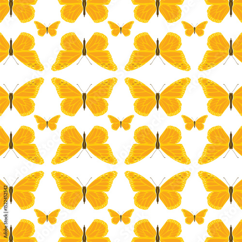 Butterfly pattern vector. Colorful repeat pattern.