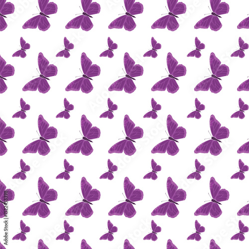 Butterfly pattern vector. Colorful repeat pattern.