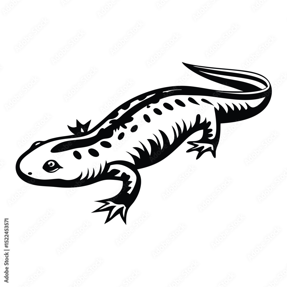 Naklejka premium Isolated Black and White Spotted Salamander With Bold Outline Design