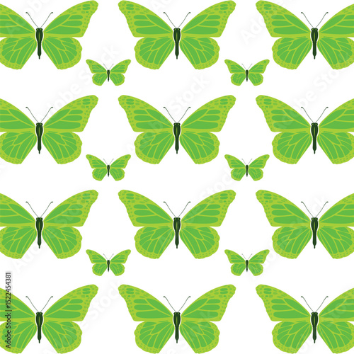 Butterfly pattern vector. Colorful repeat pattern.