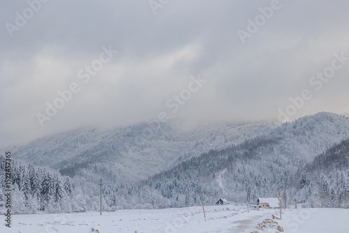 dettagli di un bellissimo ambiente naturale di montagna completamente freddo ed innevato, in Slovenia, vicino a Črni Vrh, di pomeriggio, con cielo nuvoloso