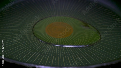 Pour olive oil into a black cast iron skillet to fry or stir fry food