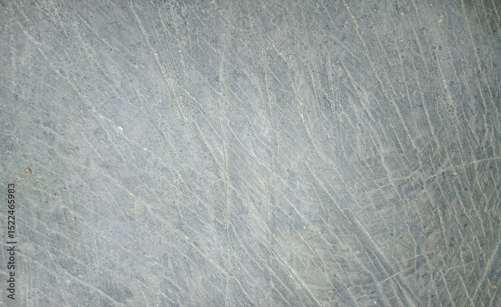 Obraz premium wooden texture background surface of a cut tree stump 