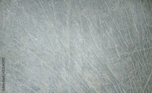 wooden texture background surface of a cut tree stump	