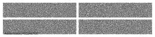 Turing background set black white color abstract style. Nature texture. Ethnic, science, biology, chemistry, biotechnology wallpaper. Vector Eps 10 eps