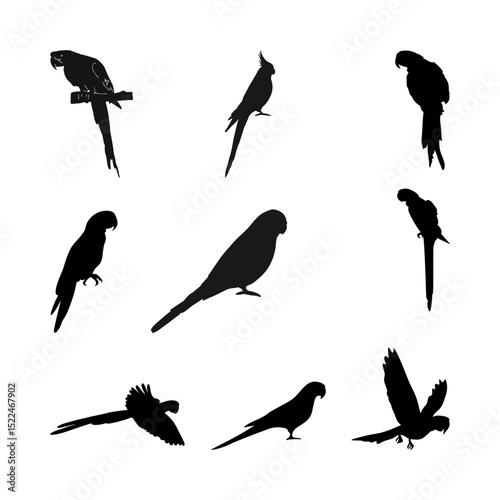 Birds flying through the sky capture the essence of freedom, grace, and the beauty of nature in motion.
