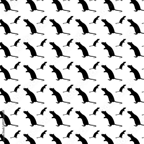 Vector black and white rat pattern