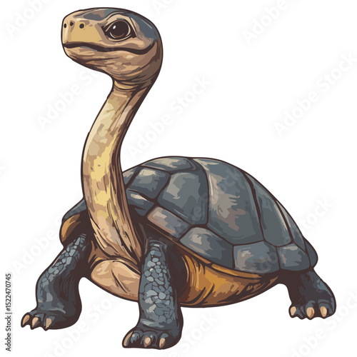 snake-necked turtle, reptile, vector, transparent background, creature, chelidae, turtle, animal, tortoise, cute, shell, nature, wildlife, isolated, amphibian