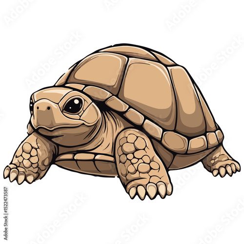 sulcata giant tortoise, reptile, vector, transparent background, creature, centrochelys sulcata, turtle, tortoise, animal, slow, nature, isolated, shell, wildlife
