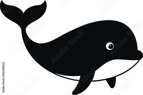 vector illustration of a shark