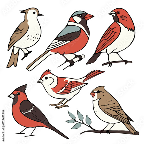 Wallpaper Mural "Colorful Cardinal and Songbird Vector Illustrations"

 Torontodigital.ca