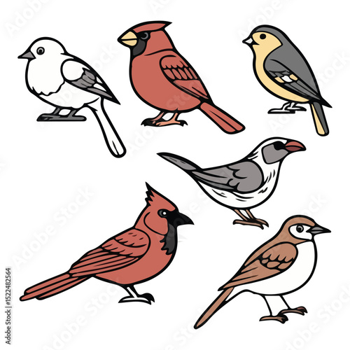 Wallpaper Mural "Colorful Cardinal and Songbird Vector Illustrations"

 Torontodigital.ca