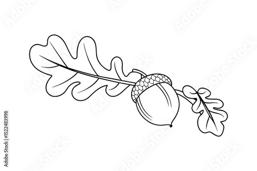 Simple line art illustration of an acorn and oak leaves on white background
