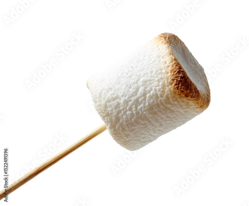 Toasted marshmallow on stick ready for campfire fun