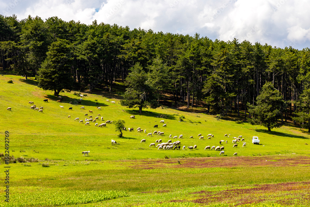 Fototapeta premium Kocayayla Plateau in Keles District. Bursa, Turkey. Beautiful Plateau of Bursa City.