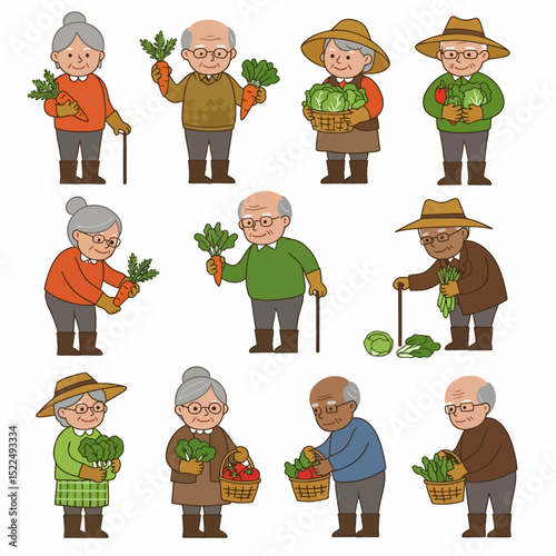 Senior farmers harvesting vegetable crops in garden