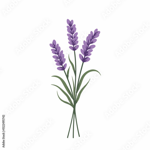 Lavender sprig bundle for wedding invitation design.  Elegant lavender sprigs create romantic and calming atmosphere for wedding stationery.