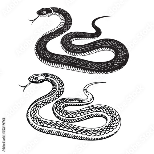 Adobe Illustrator Artwork Vector elongated snake silhouette illustration. Black serpent tattoo design isolated on white background